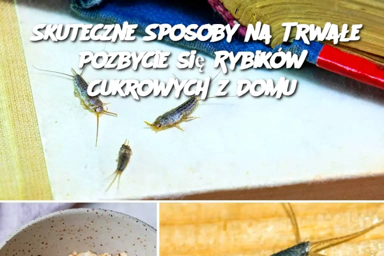 Skuteczne Sposoby na Trwałe Pozbycie się Rybików Cukrowych z Domu