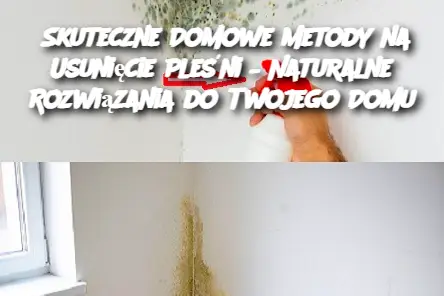 Skuteczne Domowe Metody na Usunięcie Pleśni – Naturalne Rozwiązania do Twojego Domu