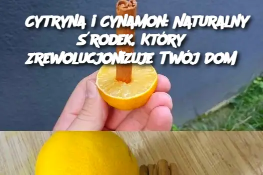 Cytryna i Cynamon: Naturalny Środek, Który Zrewolucjonizuje Twój Dom