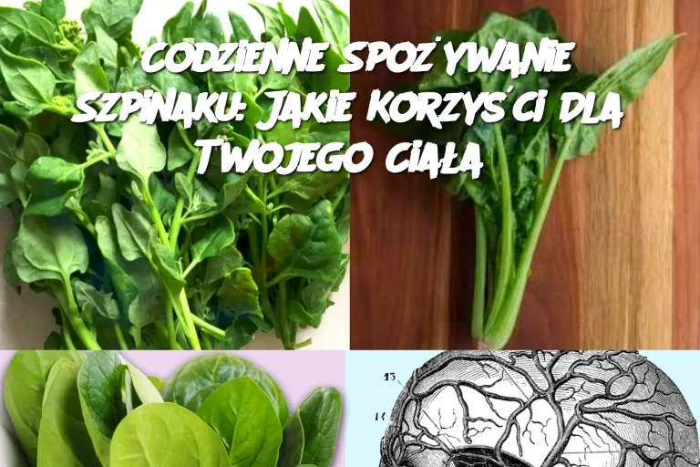 Codzienne Spożywanie Szpinaku: Jakie Korzyści Dla Twojego Ciała?