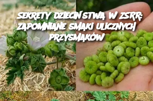 Sekrety dzieciństwa w ZSRR: Zapomniane smaki ulicznych przysmaków