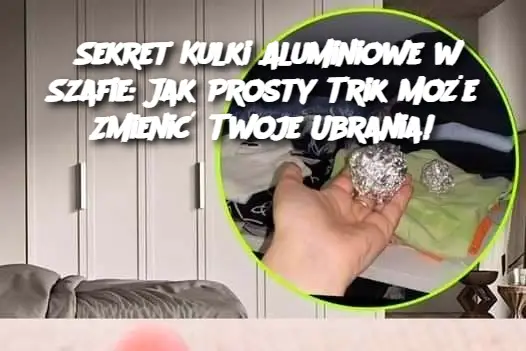 Sekret Kulki Aluminiowe w Szafie: Jak Prosty Trik Może Zmienić Twoje Ubrania!