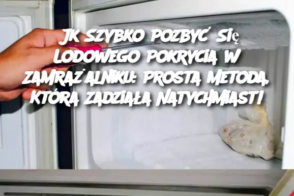 Jk Szybko Pozbyć Się Lodowego Pokrycia w Zamrażalniku: Prosta Metoda, Która Zadziała Natychmiast!