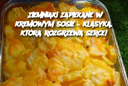 Ziemniaki zapiekane w kremowym sosie – klasyka, która rozgrzewa serce!