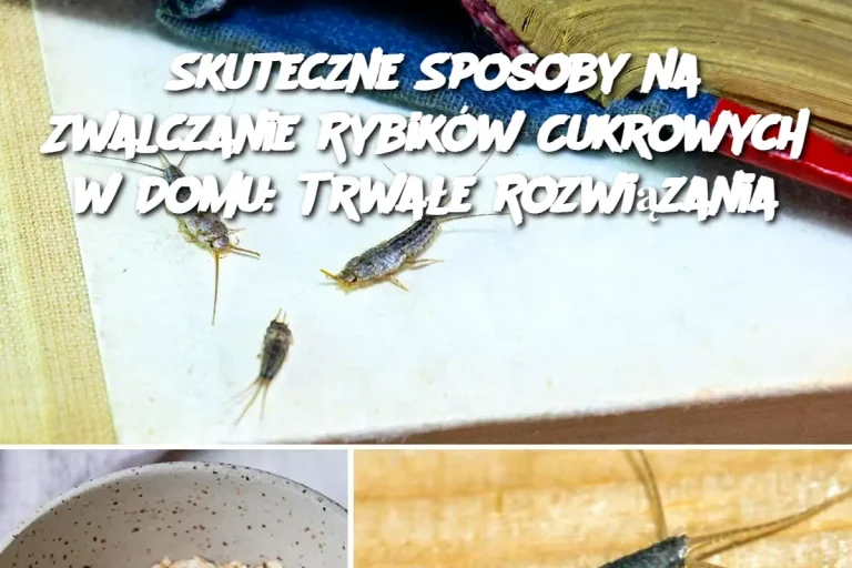 Skuteczne Sposoby na Zwalczanie Rybików Cukrowych w Domu: Trwałe Rozwiązania