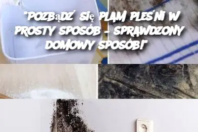 "Pozbądź się plam pleśni w prosty sposób – sprawdzony domowy sposób!"