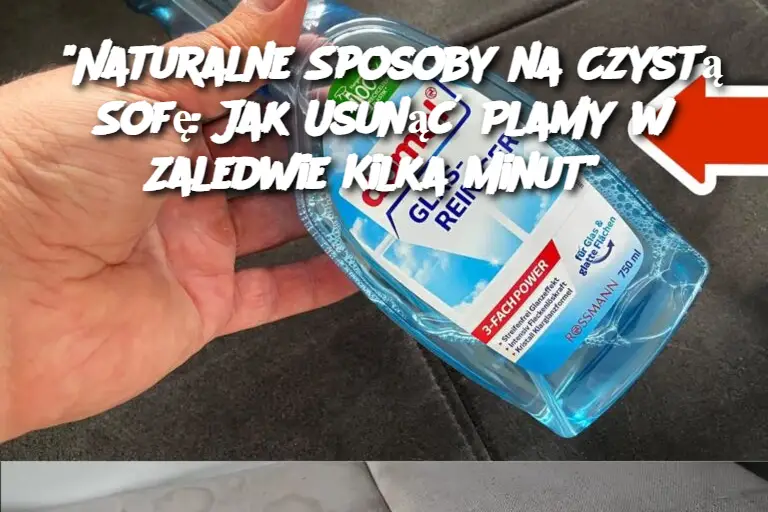 "Naturalne Sposoby na Czystą Sofę: Jak Usunąć Plamy w Zaledwie Kilka Minut"