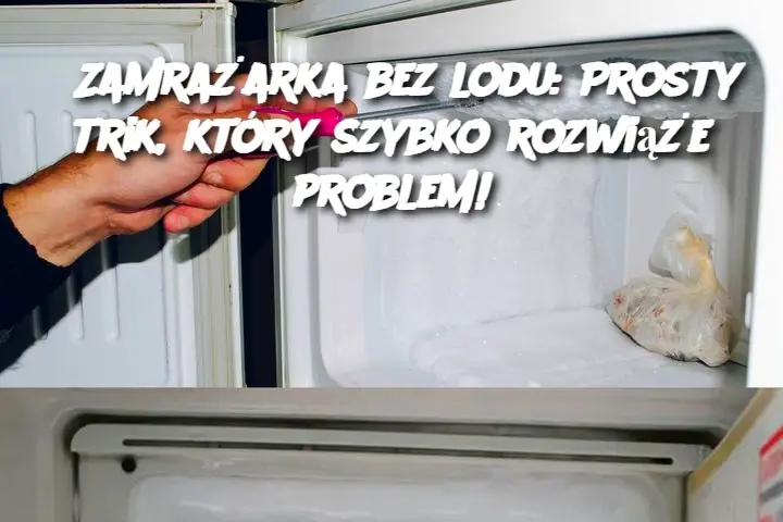 Zamrażarka bez lodu: Prosty trik, który szybko rozwiąże problem!