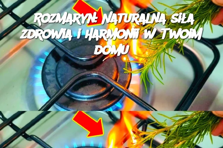 Rozmaryn: Naturalna siła zdrowia i harmonii w Twoim domu