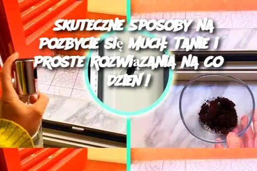 Skuteczne Sposoby na Pozbycie się Much: Tanie i Proste Rozwiązania na Co Dzień!