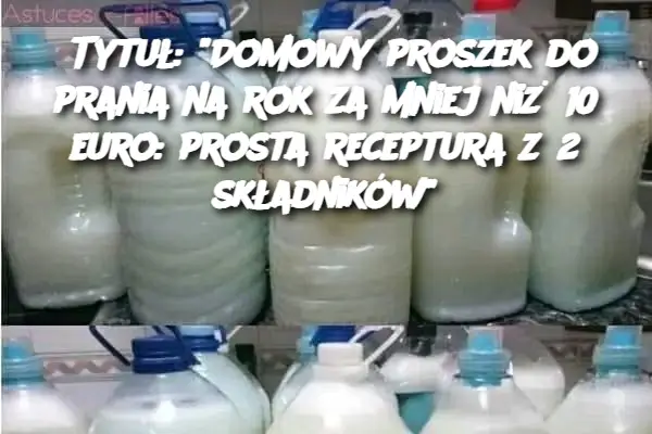 Tytuł: "Domowy proszek do prania na rok za mniej niż 10 euro: prosta receptura z 2 składników"