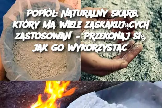 Popiół: Naturalny skarb, który ma wiele zaskakujących zastosowań – Przekonaj się, jak go wykorzystać