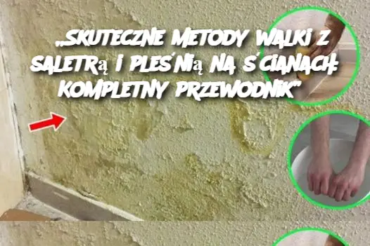 „Skuteczne metody walki z saletrą i pleśnią na ścianach: Kompletny przewodnik”