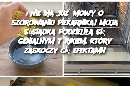 : Nie ma już mowy o szorowaniu piekarnika! Moja sąsiadka podzieliła się genialnym trikiem, który zaskoczy Cię efektami!