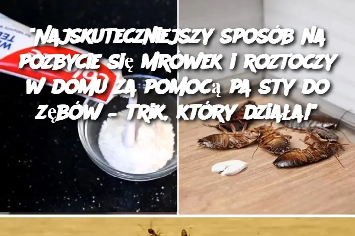 "Najskuteczniejszy sposób na pozbycie się mrówek i roztoczy w domu za pomocą pasty do zębów – trik, który działa!"