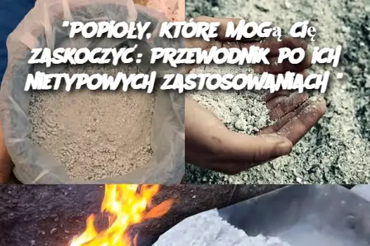 "Popioły, które mogą cię zaskoczyć: Przewodnik po ich nietypowych zastosowaniach"