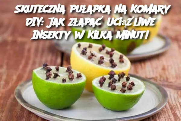 Skuteczna Pułapka na Komary DIY: Jak Złapać Uciążliwe Insekty w Kilka Minut!