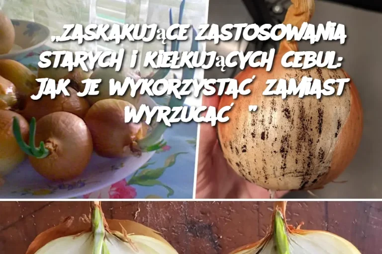 „Zaskakujące zastosowania starych i kiełkujących cebul: Jak je wykorzystać zamiast wyrzucać?”