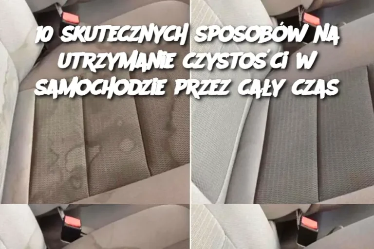 10 skutecznych sposobów na utrzymanie czystości w samochodzie przez cały czas