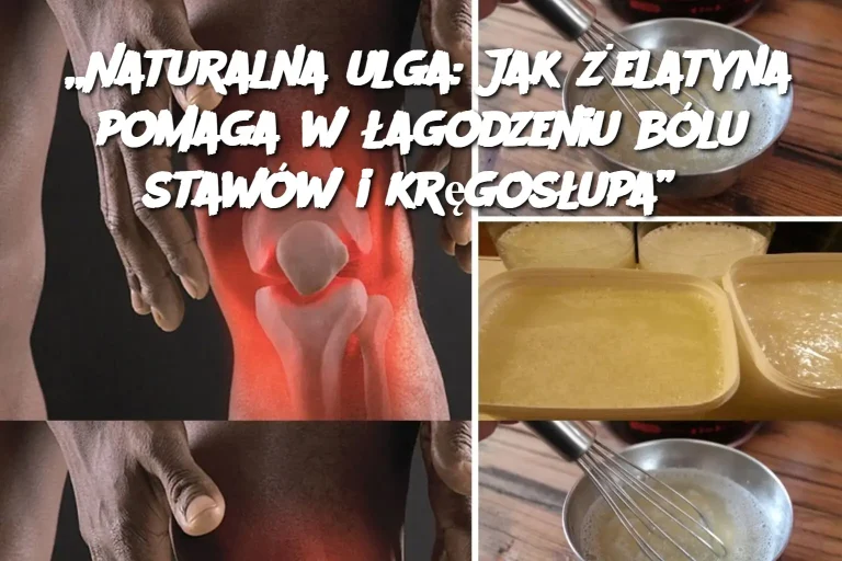 „Naturalna ulga: Jak żelatyna pomaga w łagodzeniu bólu stawów i kręgosłupa”