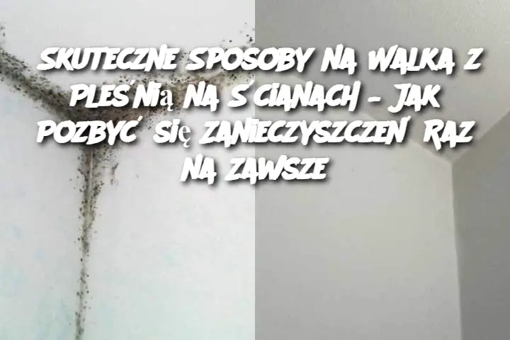 Skuteczne Sposoby na Walka z Pleśnią na Ścianach – Jak Pozbyć się Zanieczyszczeń Raz na Zawsze