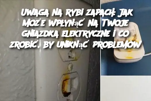 Uwaga na rybi zapach: Jak może wpłynąć na Twoje gniazdka elektryczne i co zrobić, by uniknąć problemów