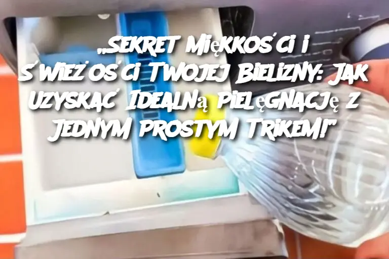 „Sekret Miękkości i Świeżości Twojej Bielizny: Jak Uzyskać Idealną Pielęgnację z Jednym Prostym Trikem!”