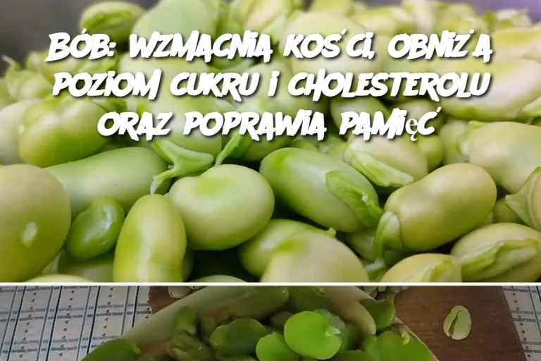 Bób: wzmacnia kości, obniża poziom cukru i cholesterolu oraz poprawia pamięć