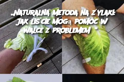 „Naturalna metoda na żylaki: Jak liście mogą pomóc w walce z problemem?”