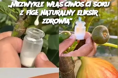 „Niezwykłe właściwości soku z figi: naturalny eliksir zdrowia”