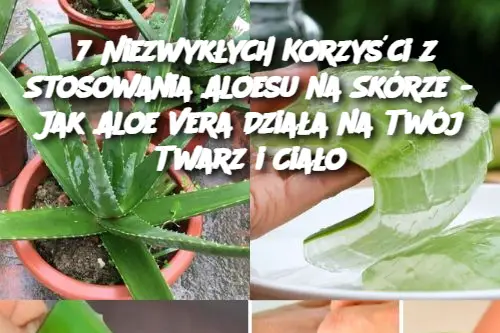 7 Niezwykłych Korzyści z Stosowania Aloesu na Skórze - Jak Aloe Vera Działa na Twój Twarz i Ciało