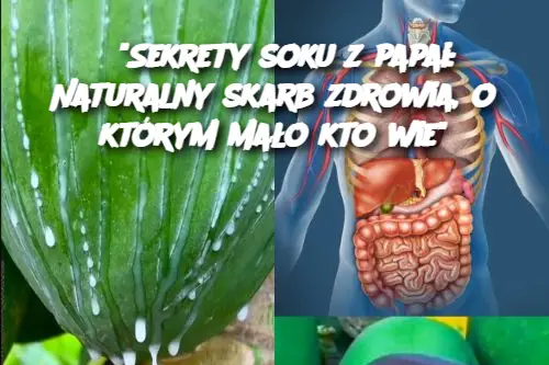 "Sekrety soku z papai: Naturalny skarb zdrowia, o którym mało kto wie"