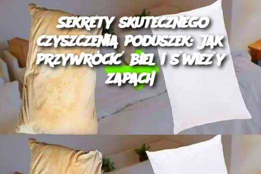 Sekrety skutecznego czyszczenia poduszek: Jak przywrócić biel i świeży zapach