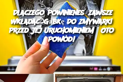 Dlaczego Powinieneś Zawsze Wkładać Gąbkę Do Zmywarki Przed Jej Uruchomieniem? Oto Powód!