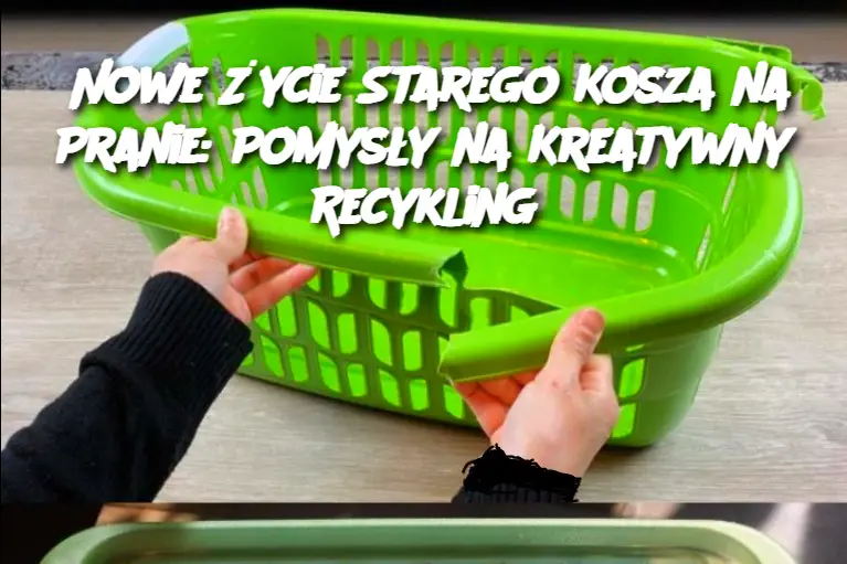 Nowe Życie Starego Kosza na Pranie: Pomysły na Kreatywny Recykling