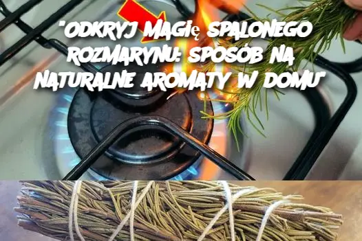 "Odkryj magię spalonego rozmarynu: sposób na naturalne aromaty w domu"