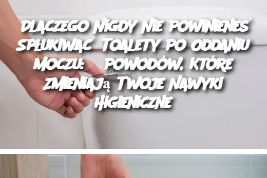 Dlaczego Nigdy Nie Powinieneś Spłukiwać Toalety Po Oddaniu Moczu: 5 Powodów, Które Zmieniają Twoje Nawyki Higieniczne