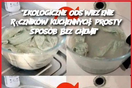 "Ekologiczne Odświeżenie Ręczników Kuchennych: Prosty Sposób Bez Chemii"