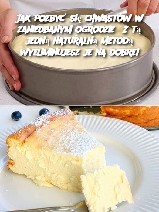 Jak pozbyć się chwastów w zaniedbanym ogrodzie? Z tą jedną naturalną metodą wyeliminujesz je na dobre!