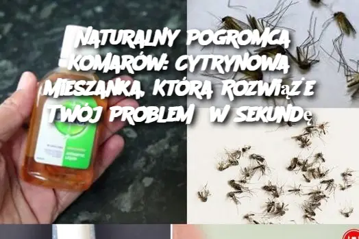 Naturalny Pogromca Komarów: Cytrynowa Mieszanka, Która Rozwiąże Twój Problem w Sekundę