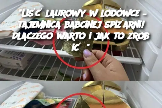 "Liść laurowy w lodówce – tajemnica babcinej spiżarni! Dlaczego warto i jak to zrobić?"