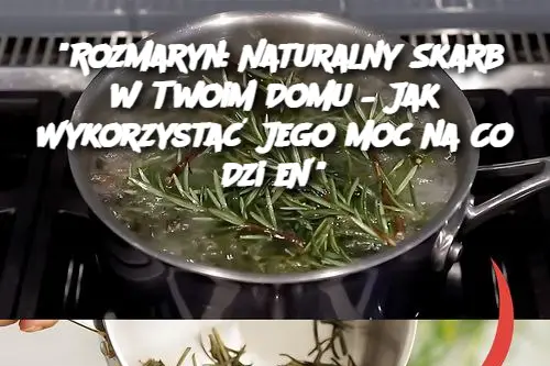 "Rozmaryn: Naturalny Skarb w Twoim Domu – Jak Wykorzystać Jego Moc na Co Dzień"