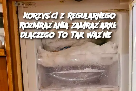 Korzyści z Regularnego Rozmrażania Zamrażarki: Dlaczego To Tak Ważne?