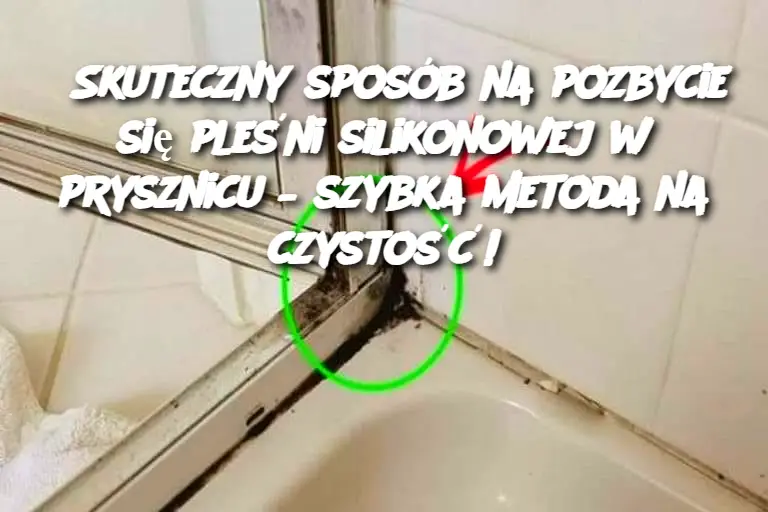 Skuteczny sposób na pozbycie się pleśni silikonowej w prysznicu – szybka metoda na czystość!