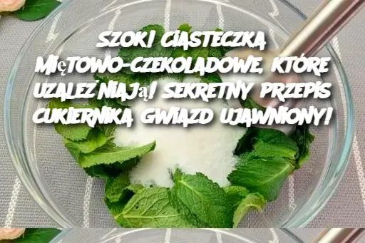 Szok! Ciasteczka miętowo-czekoladowe, które uzależniają! Sekretny przepis cukiernika gwiazd ujawniony!