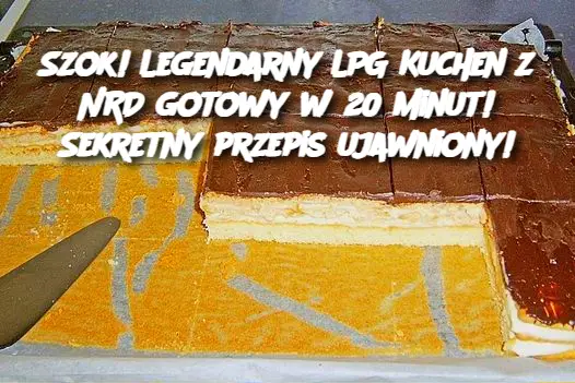 Szok! Legendarny LPG Kuchen z NRD gotowy w 20 minut! Sekretny przepis ujawniony!