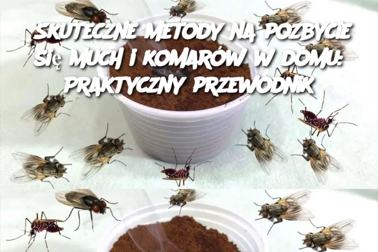 Skuteczne metody na pozbycie się much i komarów w domu: Praktyczny przewodnik