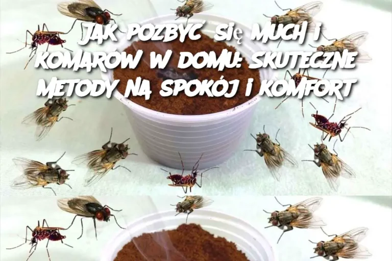 Jak pozbyć się much i komarów w domu: Skuteczne metody na spokój i komfort