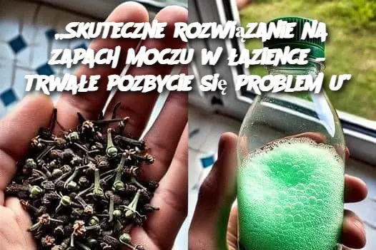 „Skuteczne rozwiązanie na zapach moczu w łazience – trwałe pozbycie się problemu”