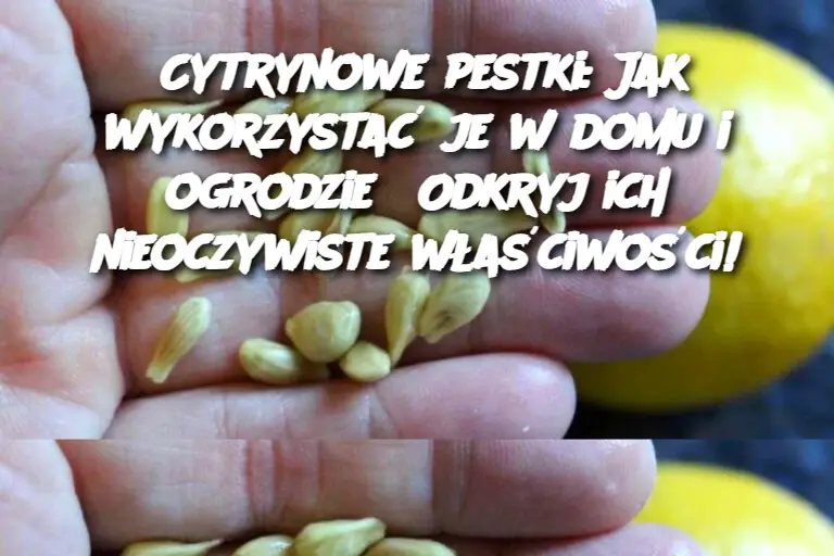 Cytrynowe pestki: Jak wykorzystać je w domu i ogrodzie? Odkryj ich nieoczywiste właściwości!